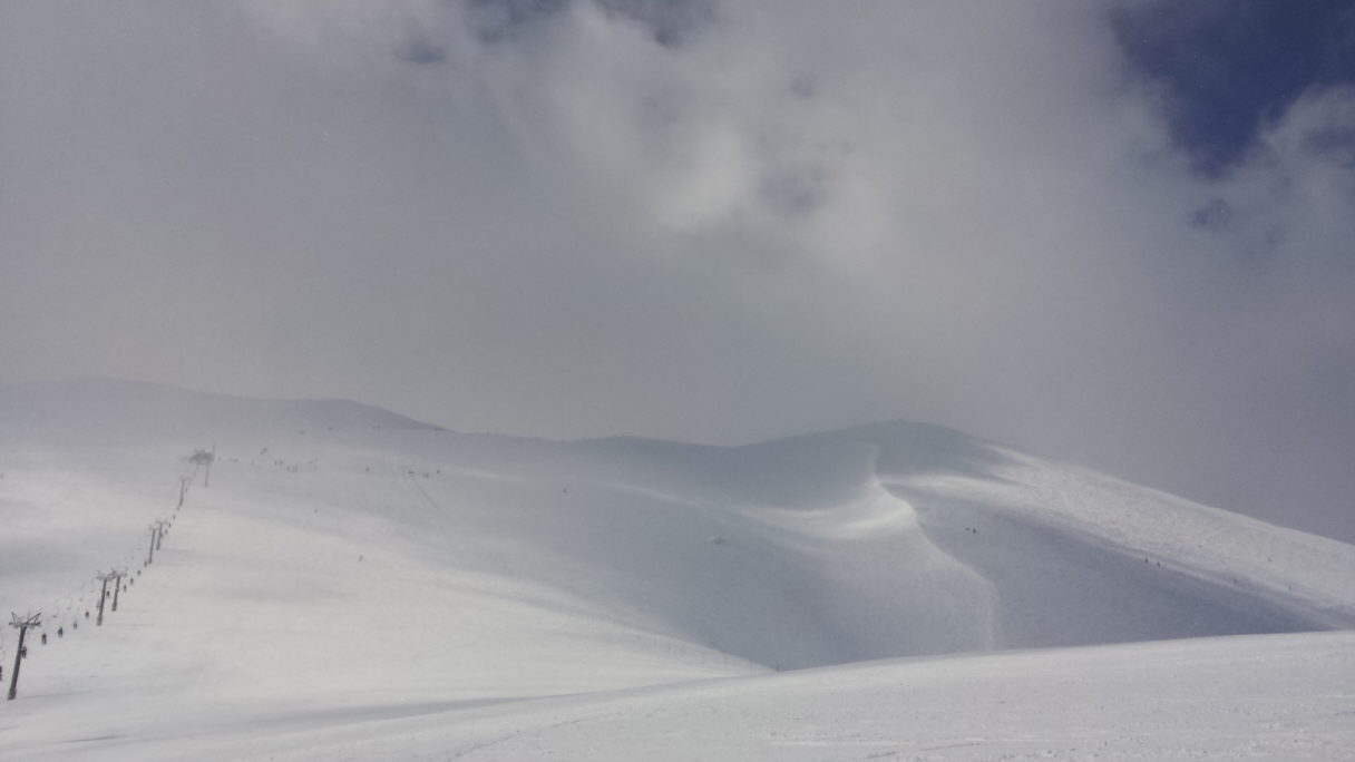 20140322_122140.jpg