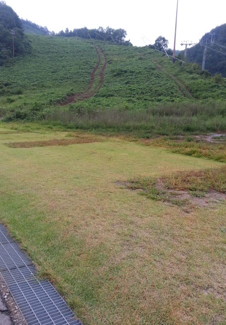 20150905_172226.jpg