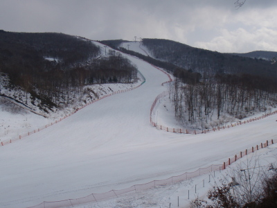 201103150010.jpg