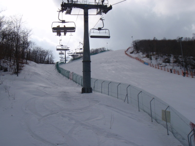 201103150018.jpg