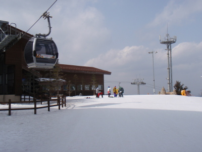 201103150027.jpg