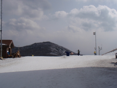 201103150028.jpg