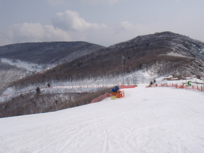 201103150037.jpg