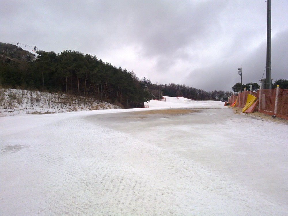 20110228.jpg
