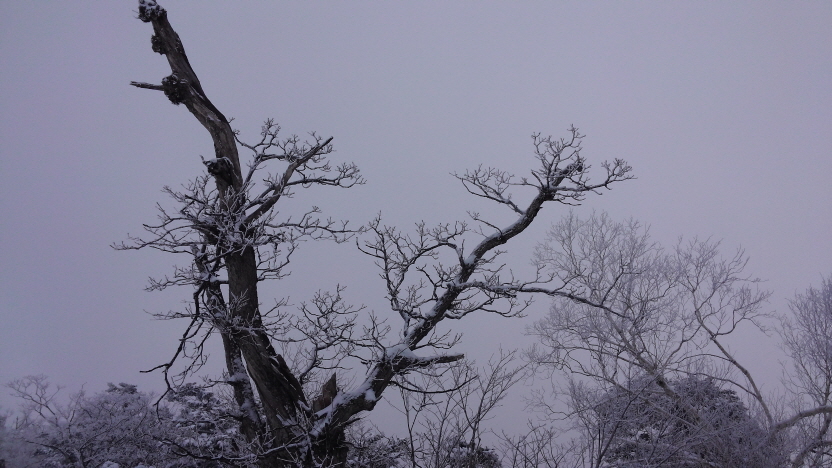 121320170326_094530.jpg