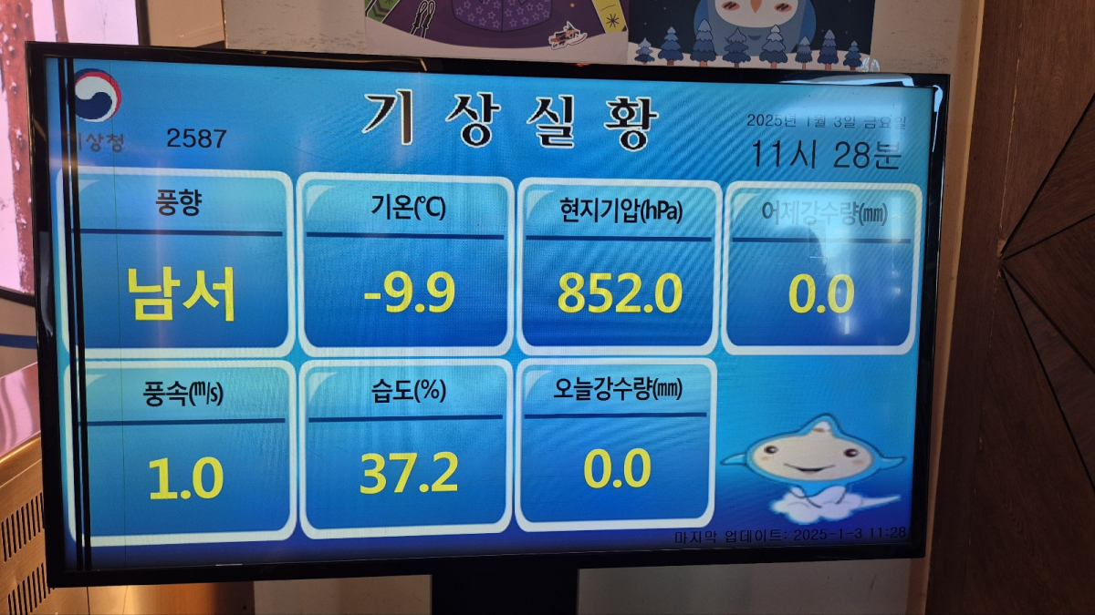 1735893403169-2.jpg