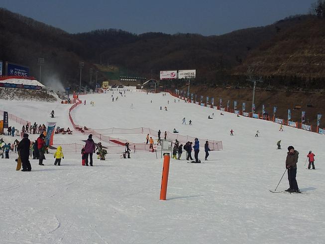 2012-01-26 11.46.56.jpg