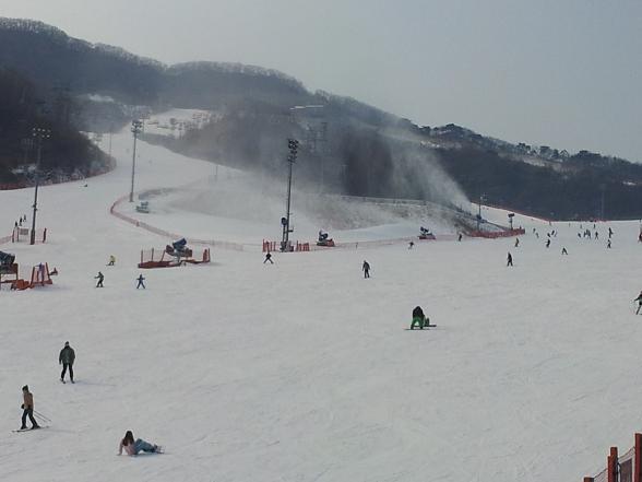 2012-01-26 11.50.16.jpg