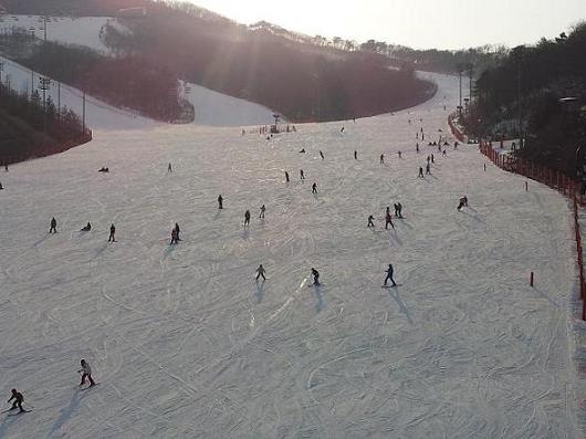2012-01-26 15.46.30.jpg