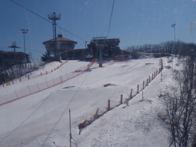 201103160001.jpg