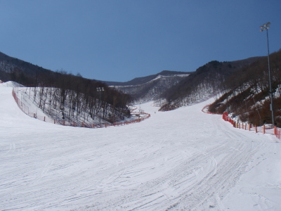 201103170007.jpg