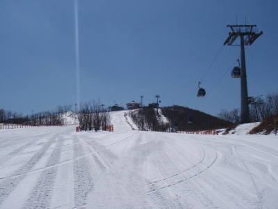 201103170015.jpg