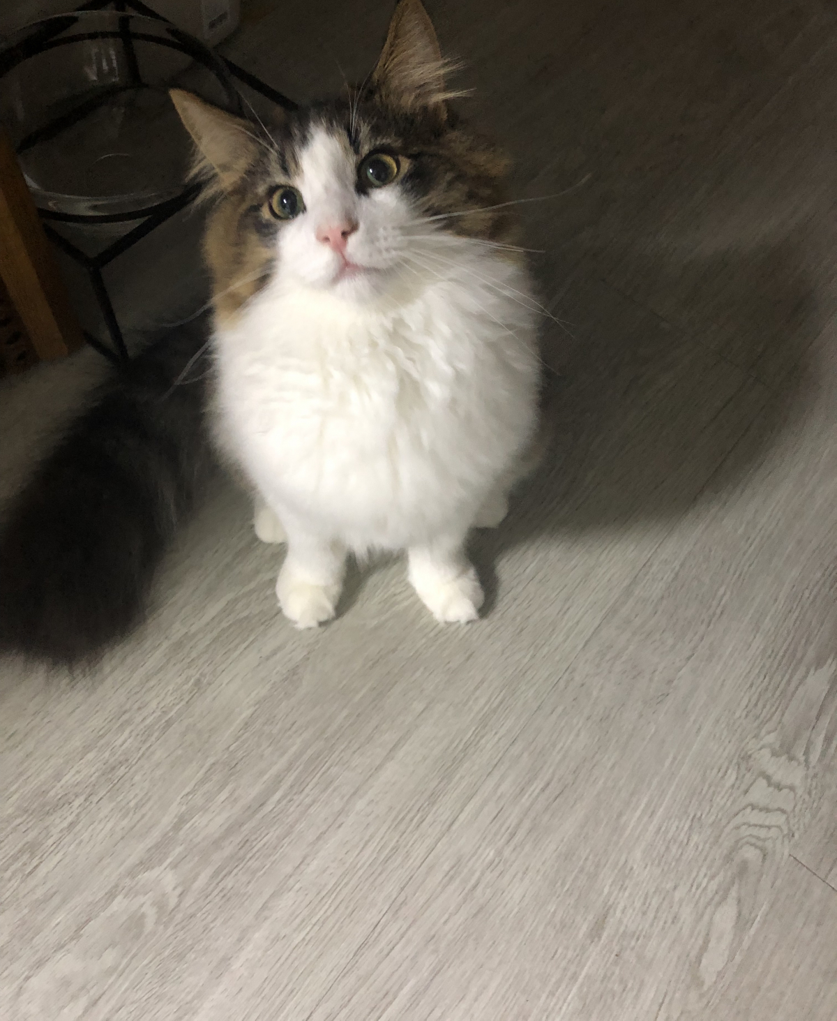 KakaoTalk_20200212_184431786.jpg