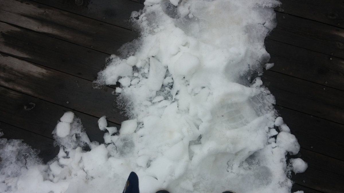 20151206_141746.jpg