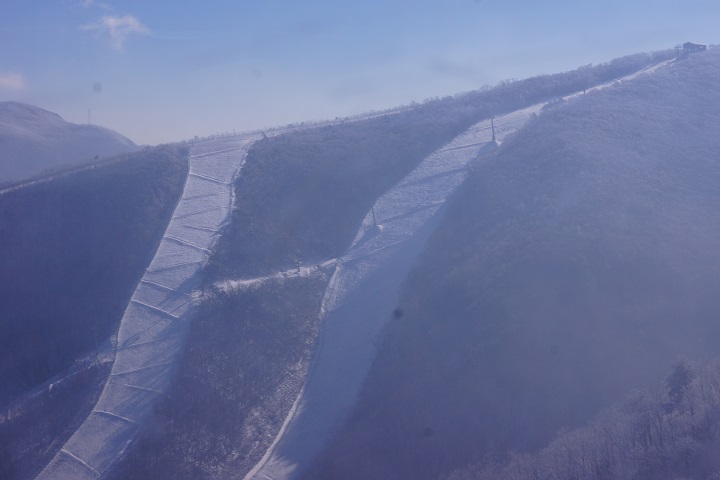 DSC09813.JPG