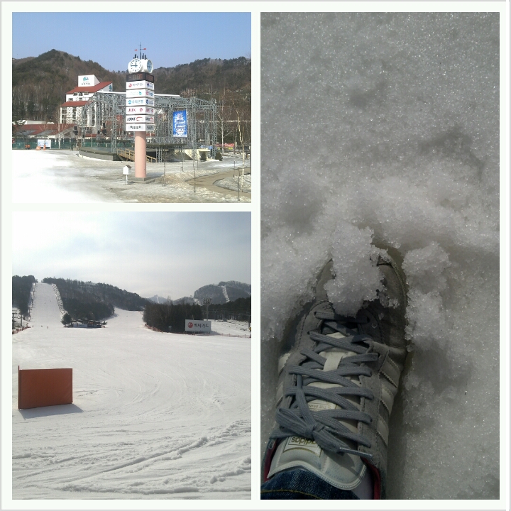 PhotoGrid_1362538609782.jpg