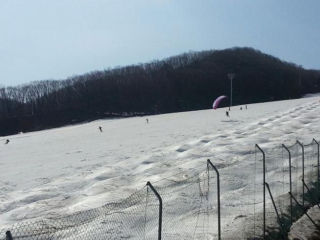 20130315_114228_resized.jpg