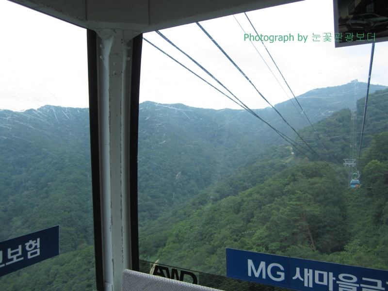 ypimage_20150803_10.JPG