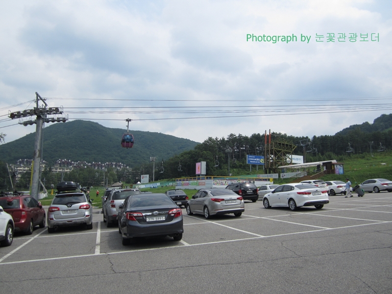 ypimage_20150803_01.JPG