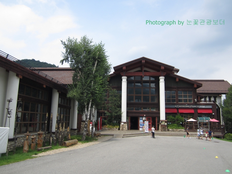 ypimage_20150803_02.JPG