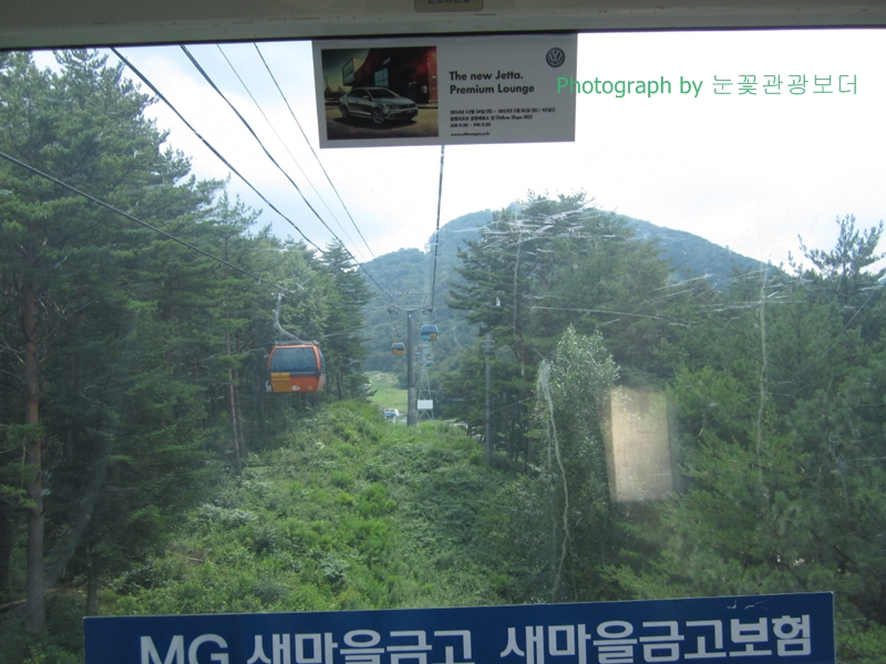 ypimage_20150803_09.JPG