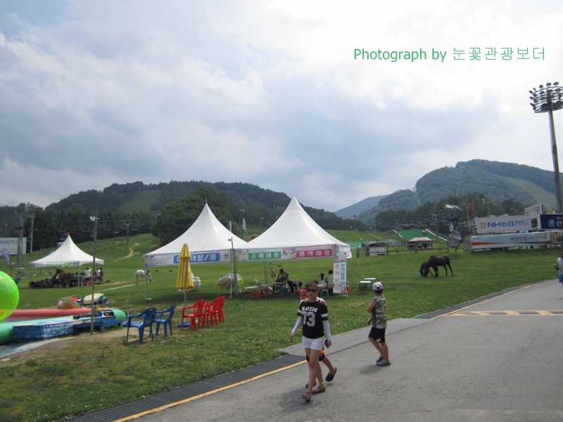ypimage_20150803_04.JPG