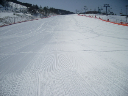 abcSL375376.JPG