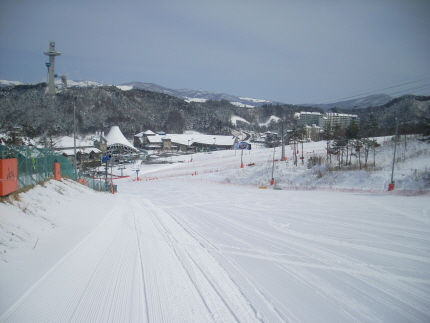 abcSL375401.JPG