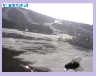 웰리 힐리파크 파리 2.jpg