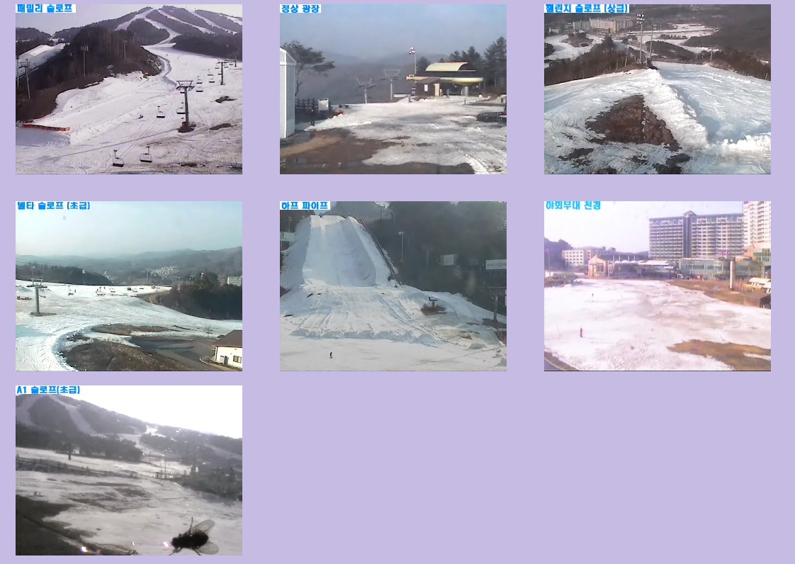 웰리 힐리파크 파리.jpg