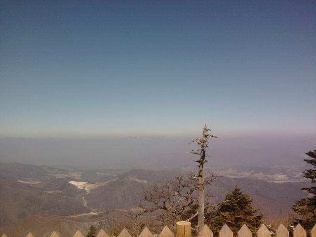 Resize of P190308002.jpg