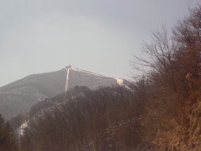 Resize of P190308006.jpg