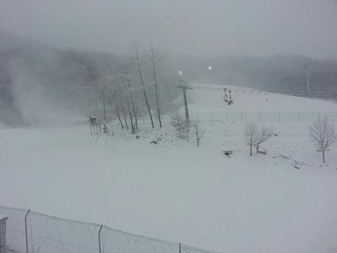 20121207_112340_resized.jpg