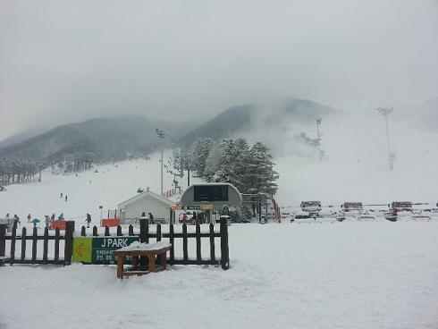 20121207_123121_resized.jpg
