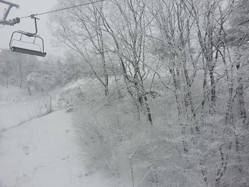 20121207_113511_resized.jpg