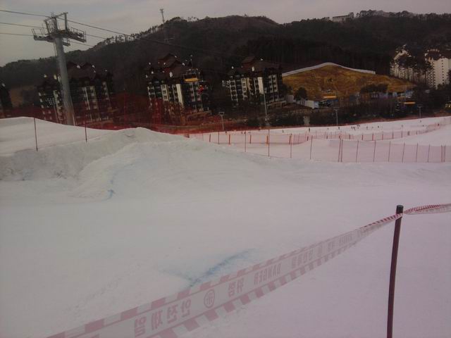 Resize of P190206003.jpg