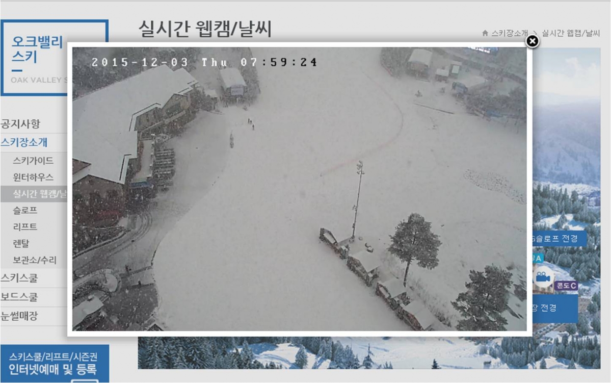 오크밸리 폭설.jpg