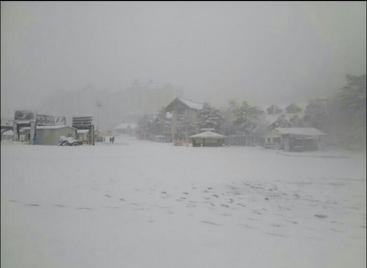 2011-11-30 09.17.25-1.jpg