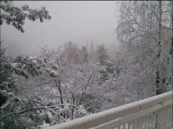 2011-11-30 09.17.33-1.jpg