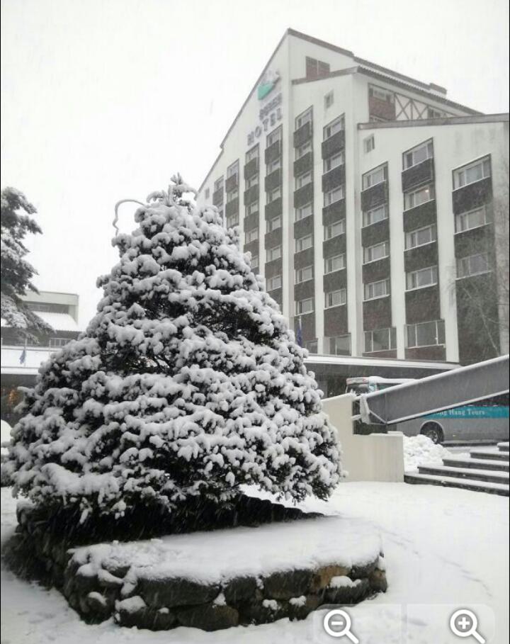 2011-11-30 09.17.29-1.jpg