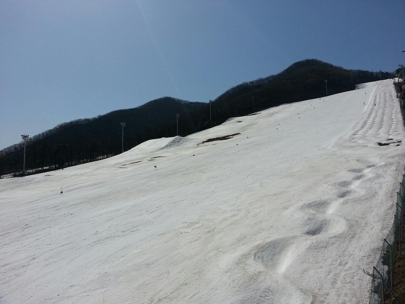 20130321_112941_resized.jpg