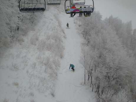 d_SL374309.jpg