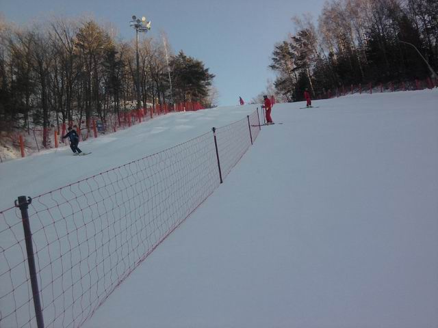 Resize of P190116010.jpg