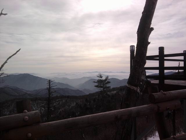 Resize of P190116006.jpg