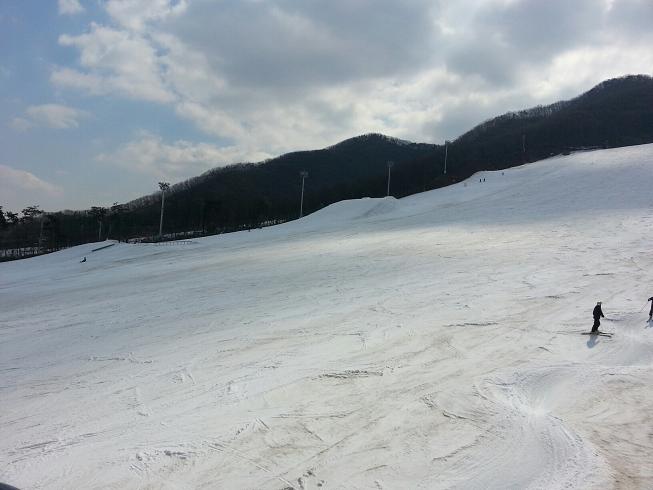 20130314_134539_resized.jpg