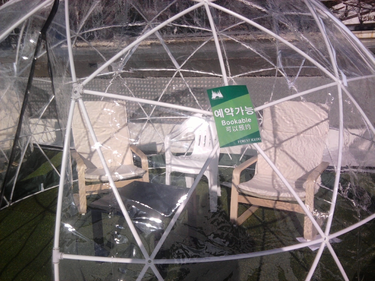 P181220001.jpg