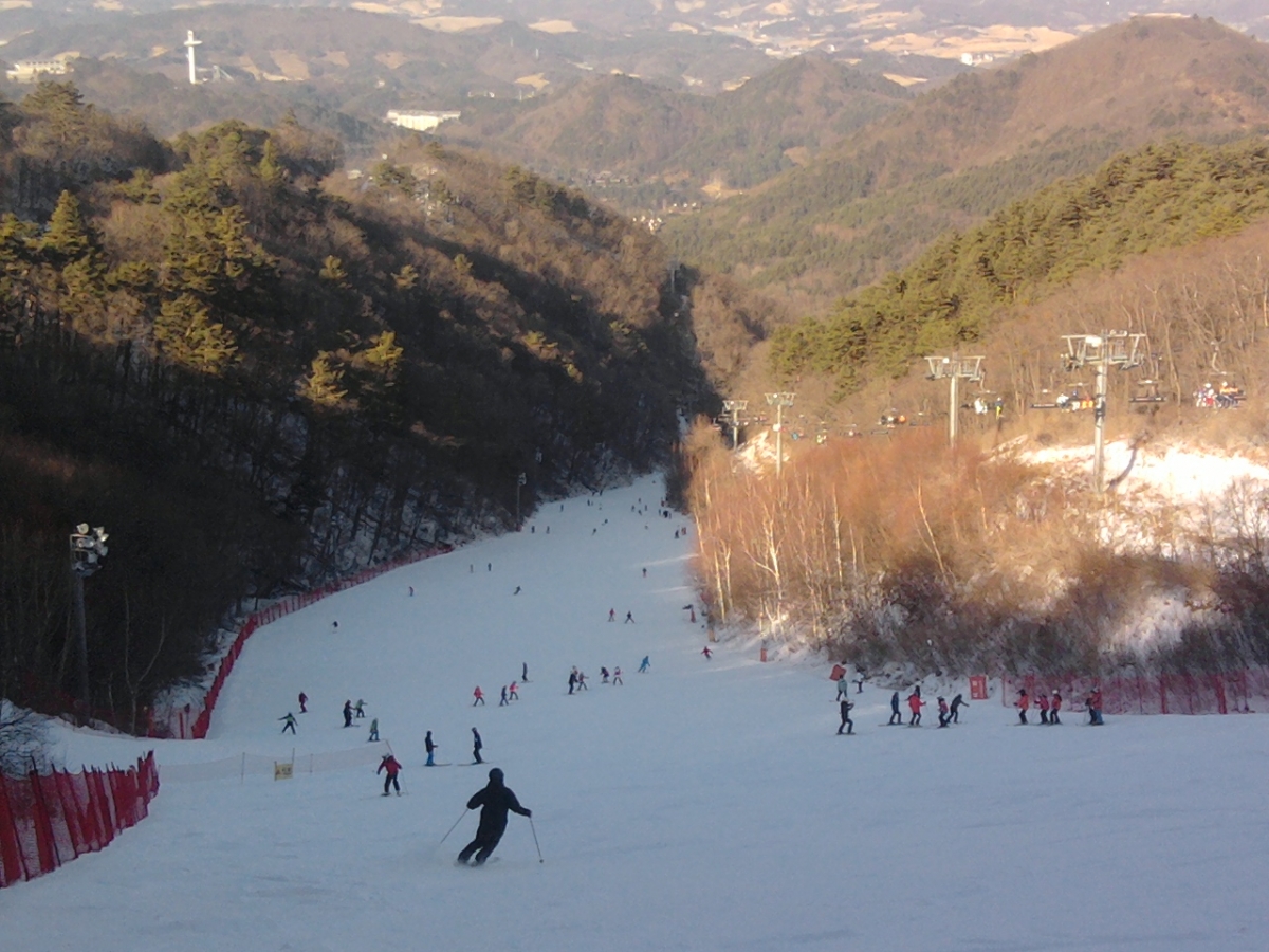 P181220003.jpg
