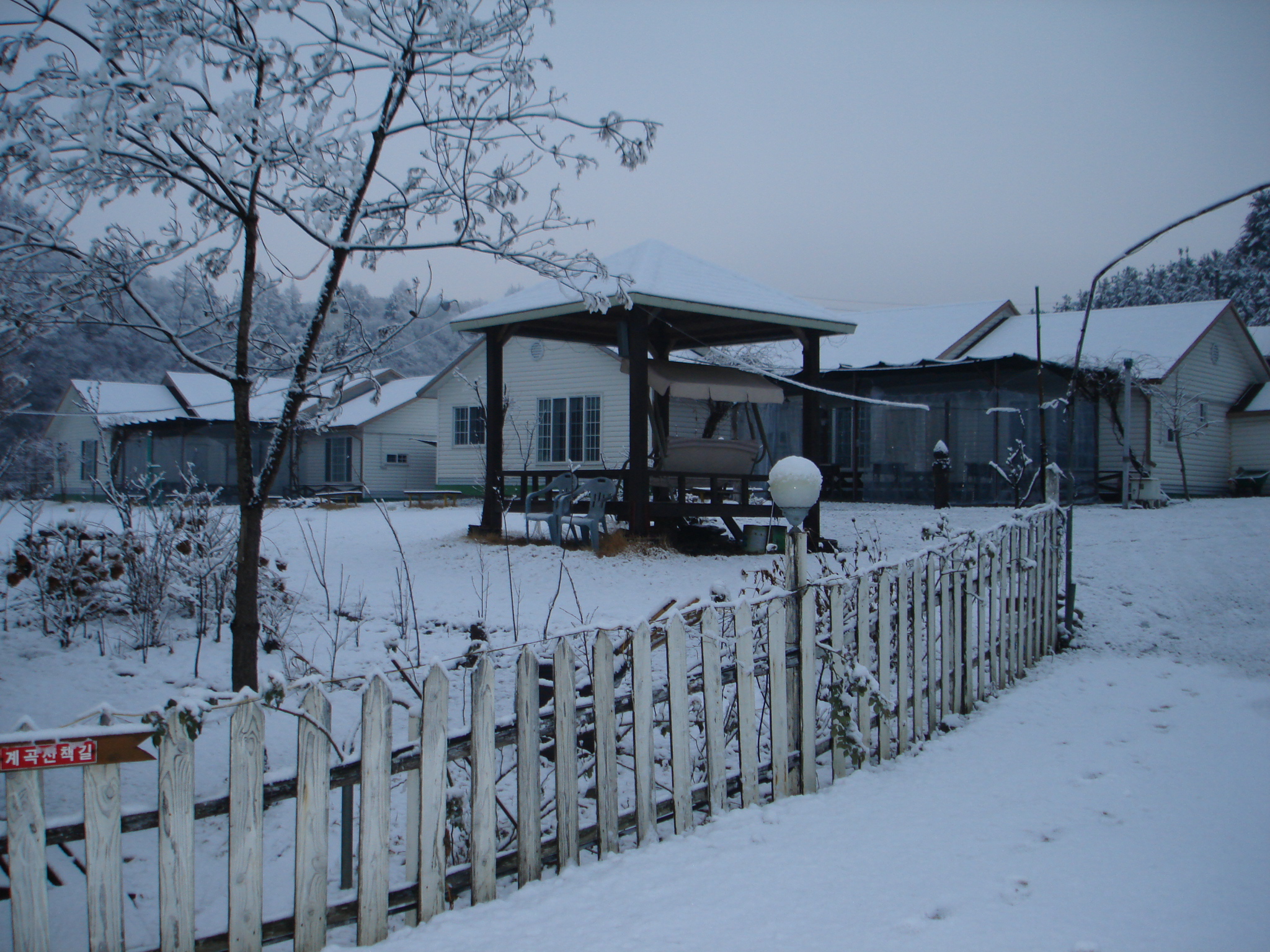 DSC01948.JPG