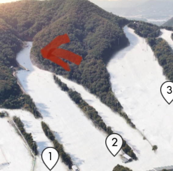 자유게시판 - 2월 17일 지산스키장 2,3번 슬로프 카드지갑 분실했습니다ㅠ