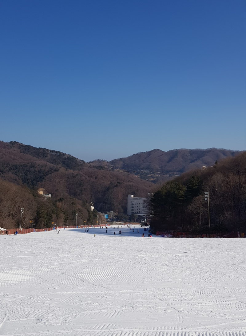 보드장소식 - 휘팍단신(오전)